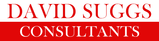 David Suggs Consultants Retina Logo